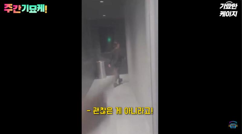 미국 PC주의 근황