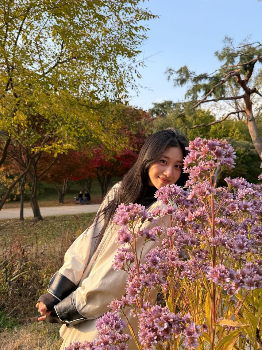 홍화연