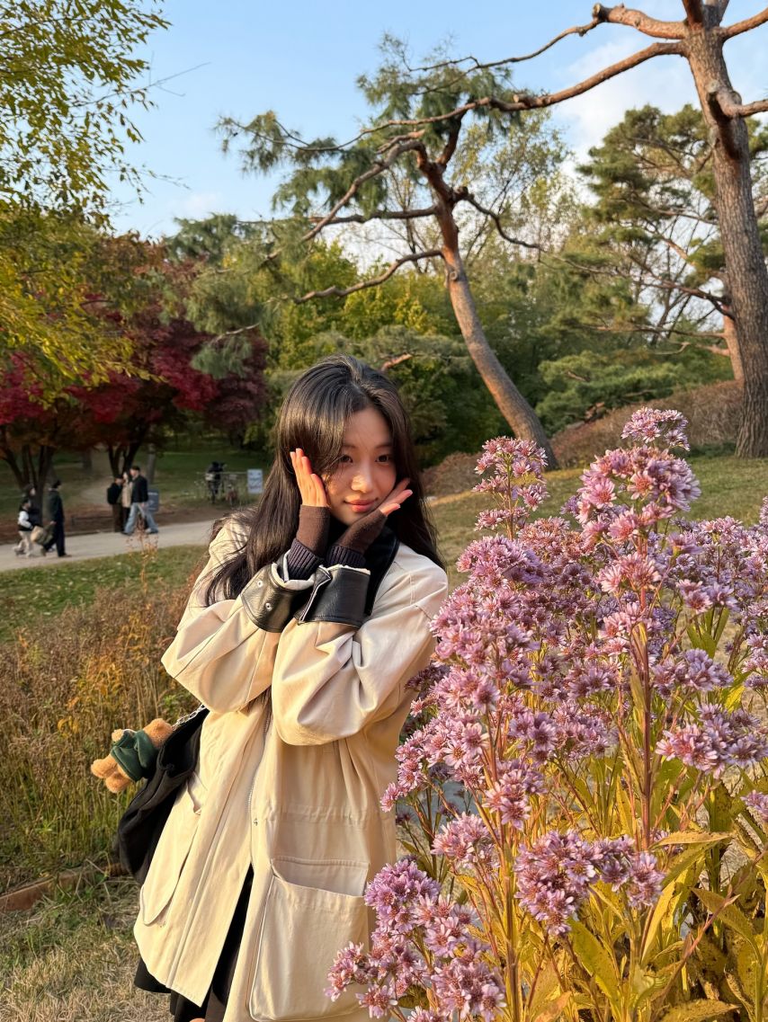 홍화연