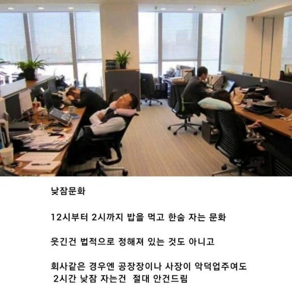 ㅇㅎ) 중국 점심시간에 있는 문화