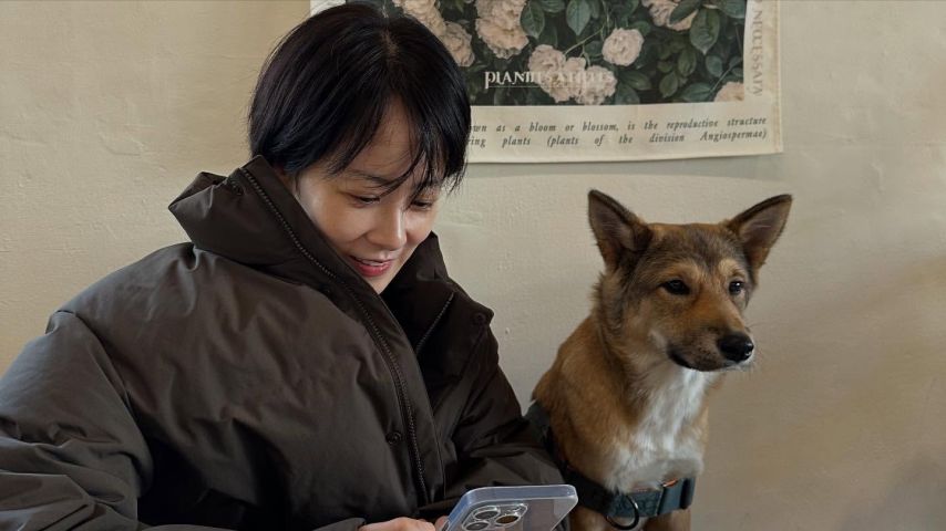 류현경