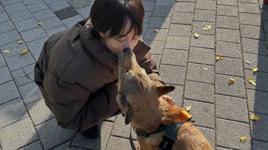류현경