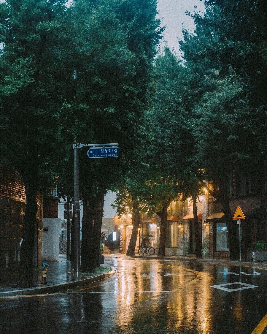 레딧에서 화제가 된 한국의 풍경들