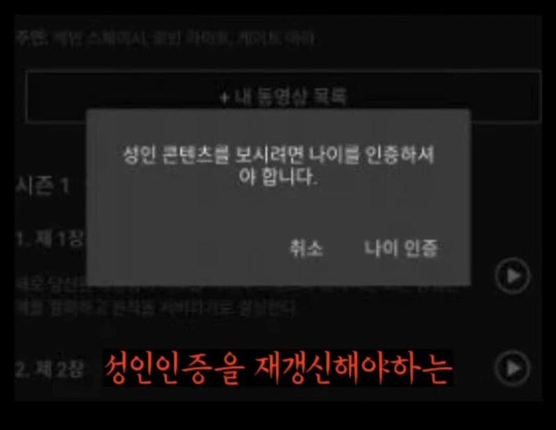 OTT에서 매년 1회 성인인증 받는 이유
