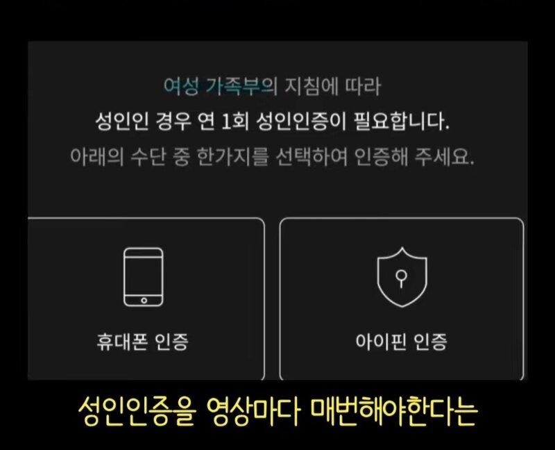 OTT에서 매년 1회 성인인증 받는 이유
