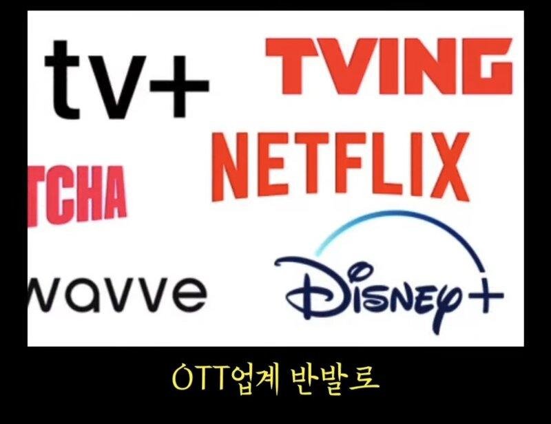 OTT에서 매년 1회 성인인증 받는 이유