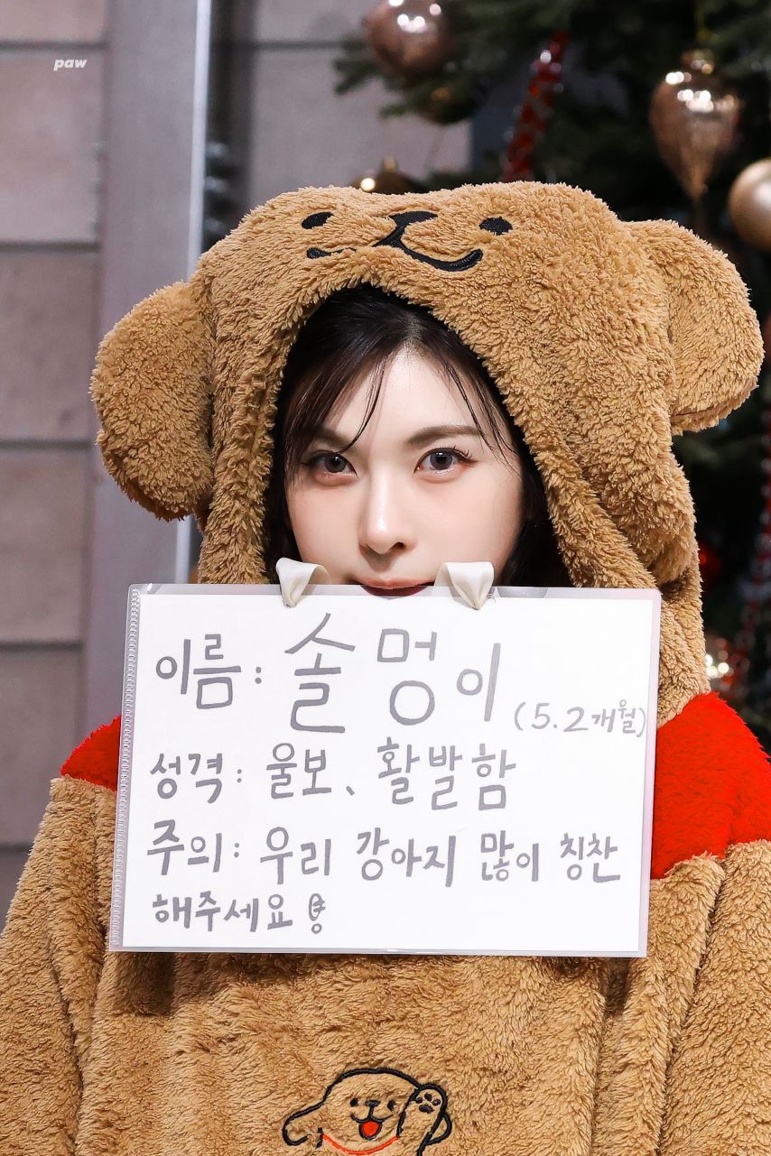 엔믹스 배이