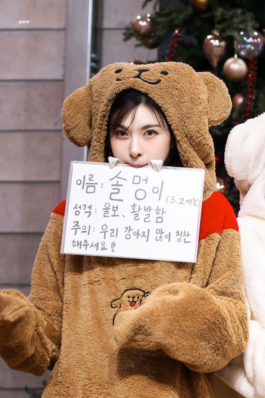 엔믹스 배이