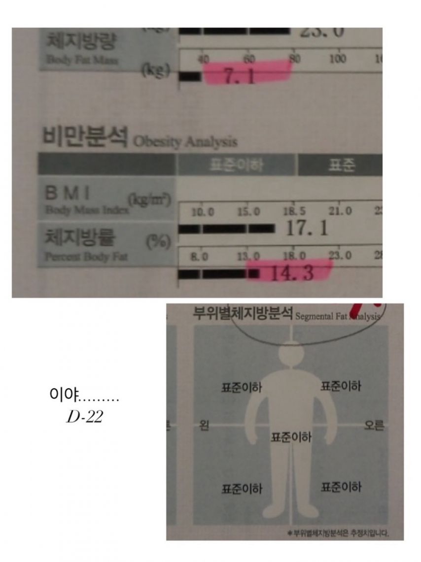 41kg 故최진실 딸 최준희 보디슈트
