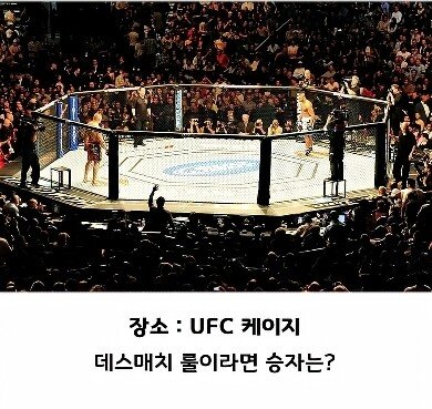현재 논란중인 검도 vs MMA.jpg