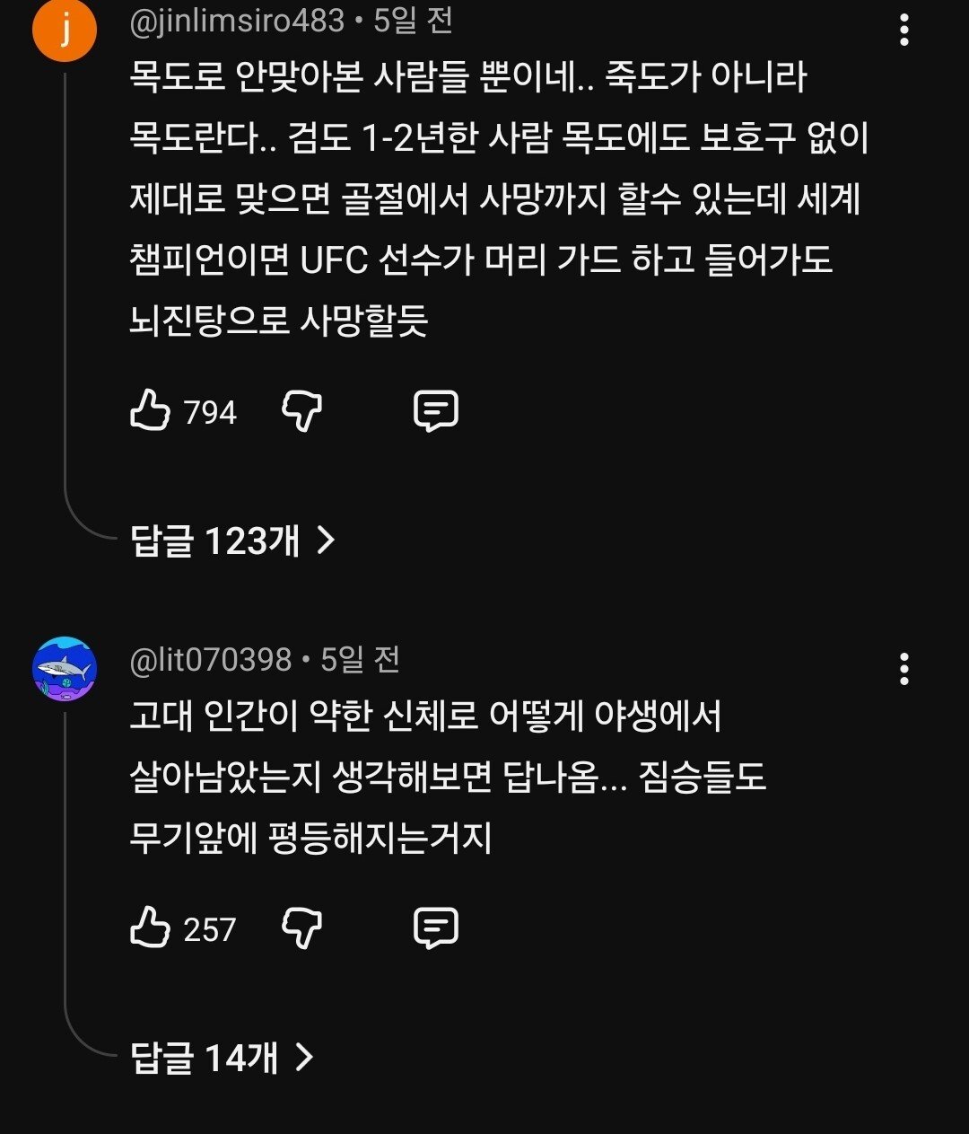 현재 논란중인 검도 vs MMA.jpg