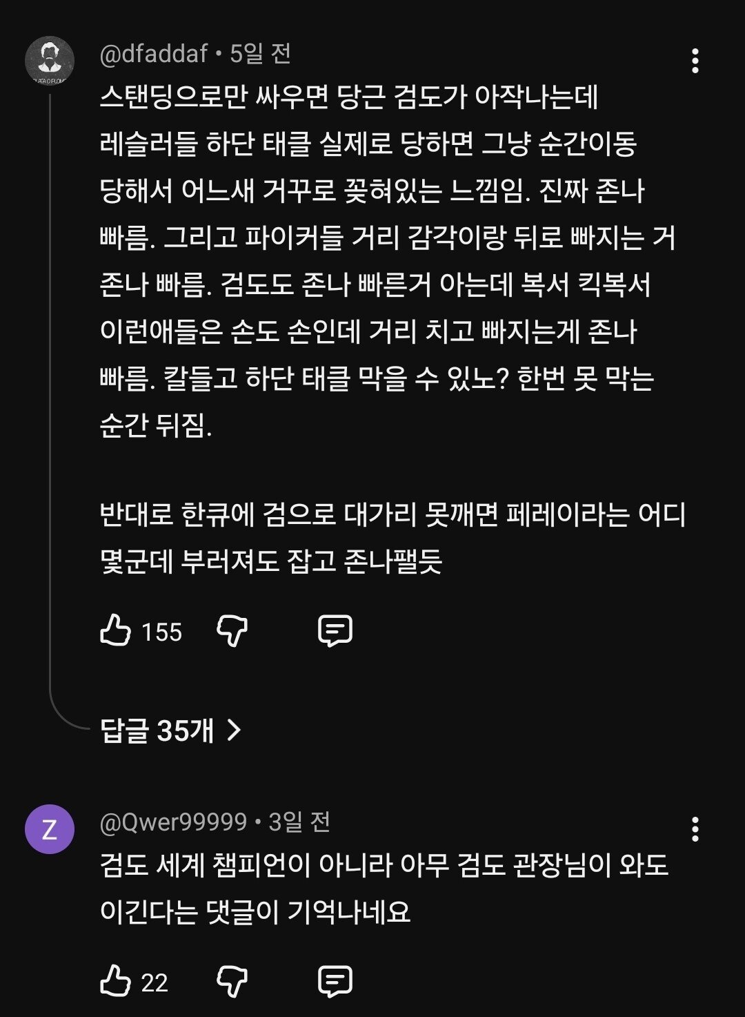 현재 논란중인 검도 vs MMA.jpg