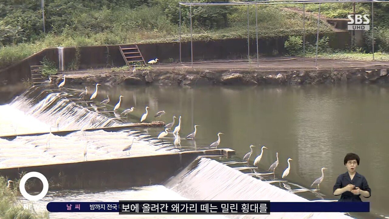 왜가리 타워디펜스