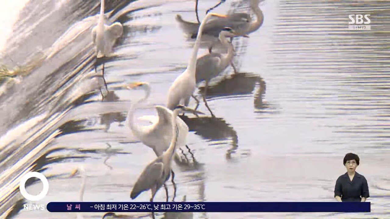 왜가리 타워디펜스