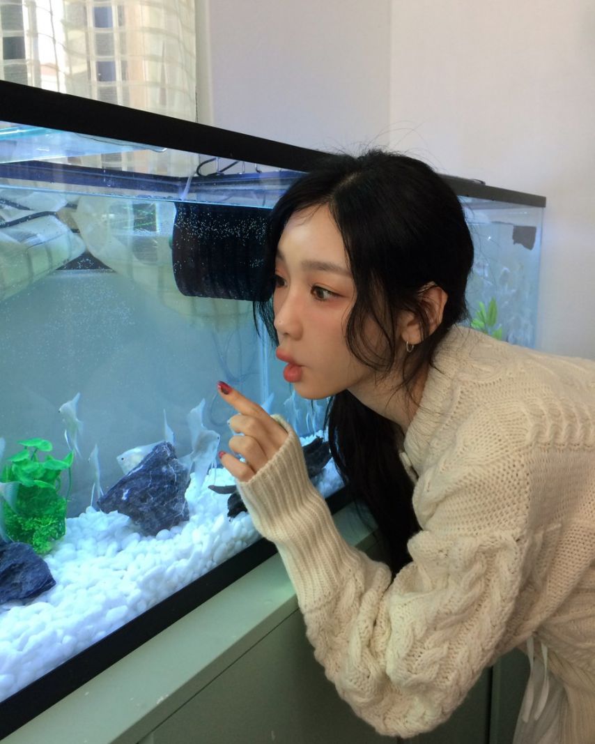 태연
