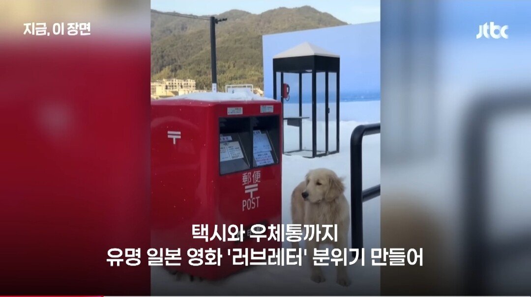 중국 한일령 근황 ㄷㄷㄷ