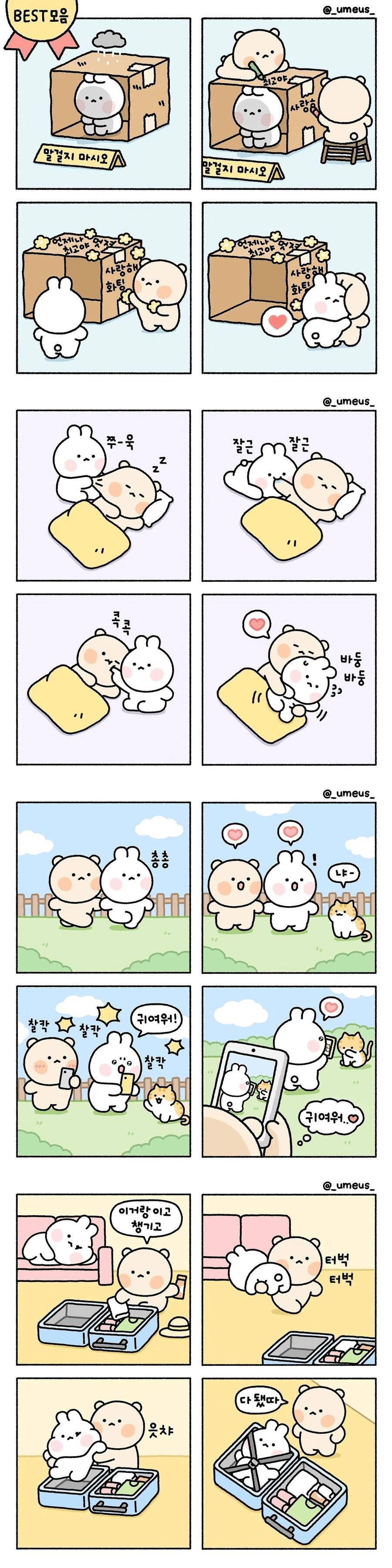 실제 연애의 모습