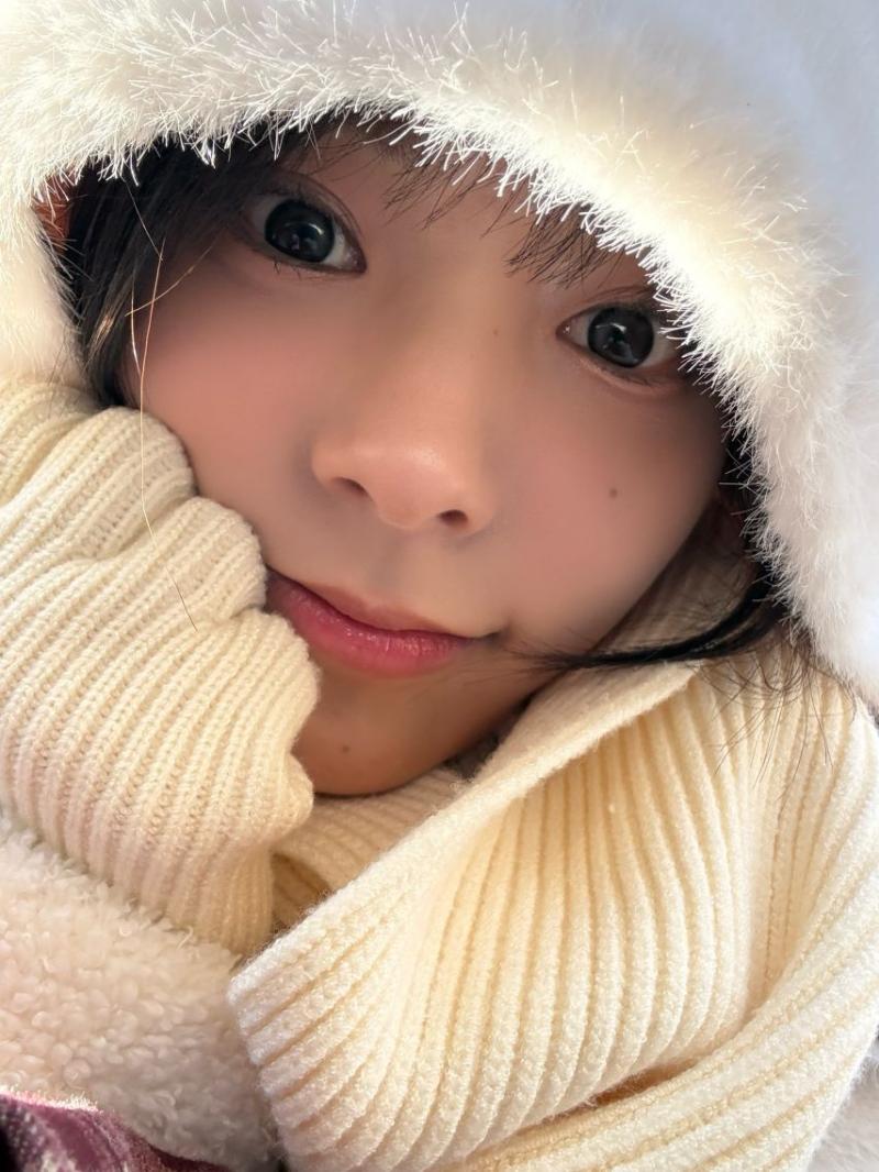 시연