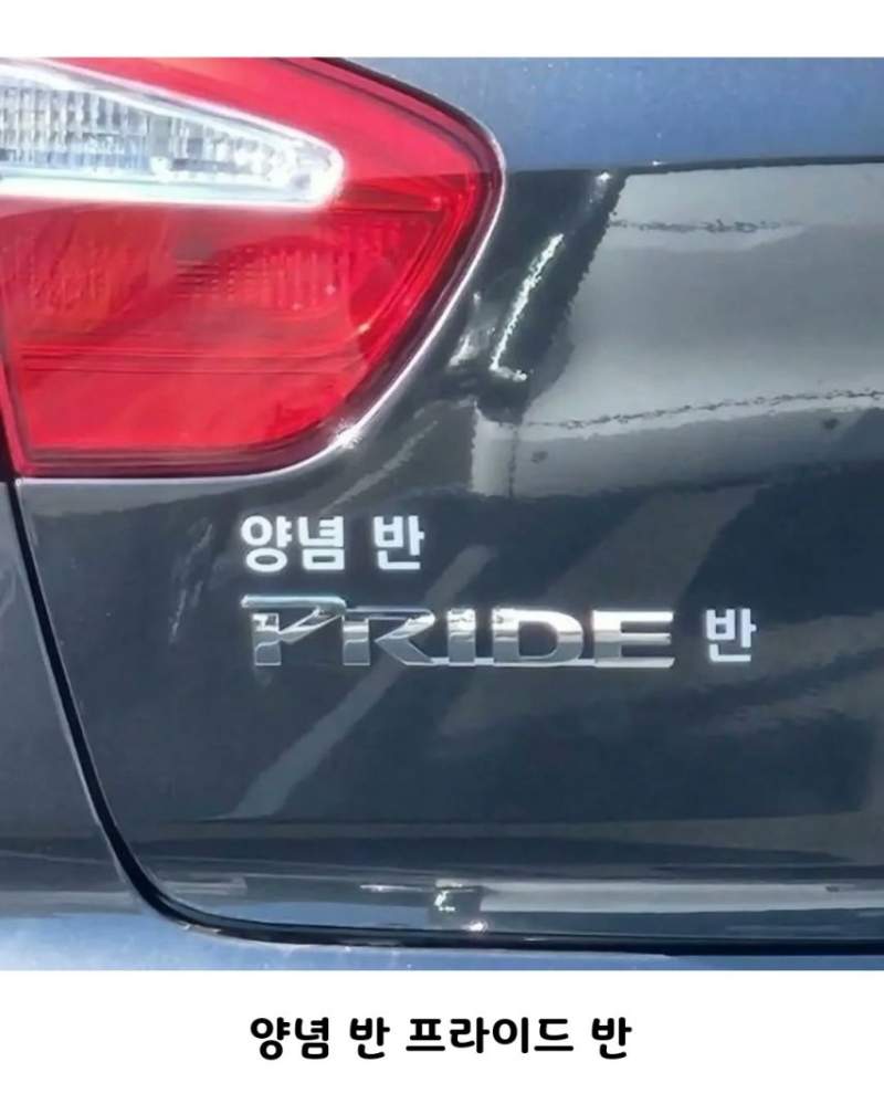 크리스마스 맞이 피식 웃기