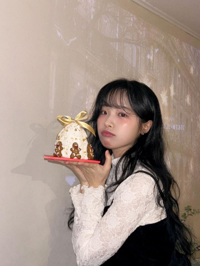 정보민