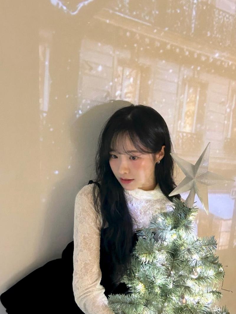 정보민