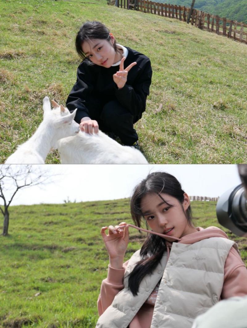 노윤서