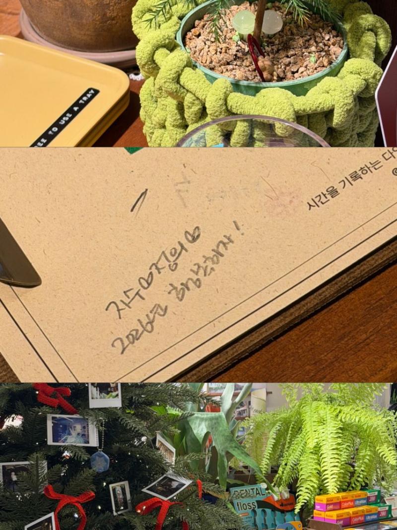 노정의 인별