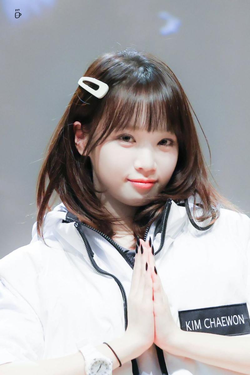 르세라핌 김채원
