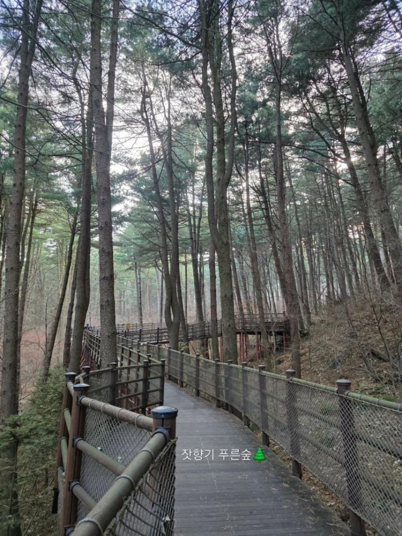 한수연 인스타