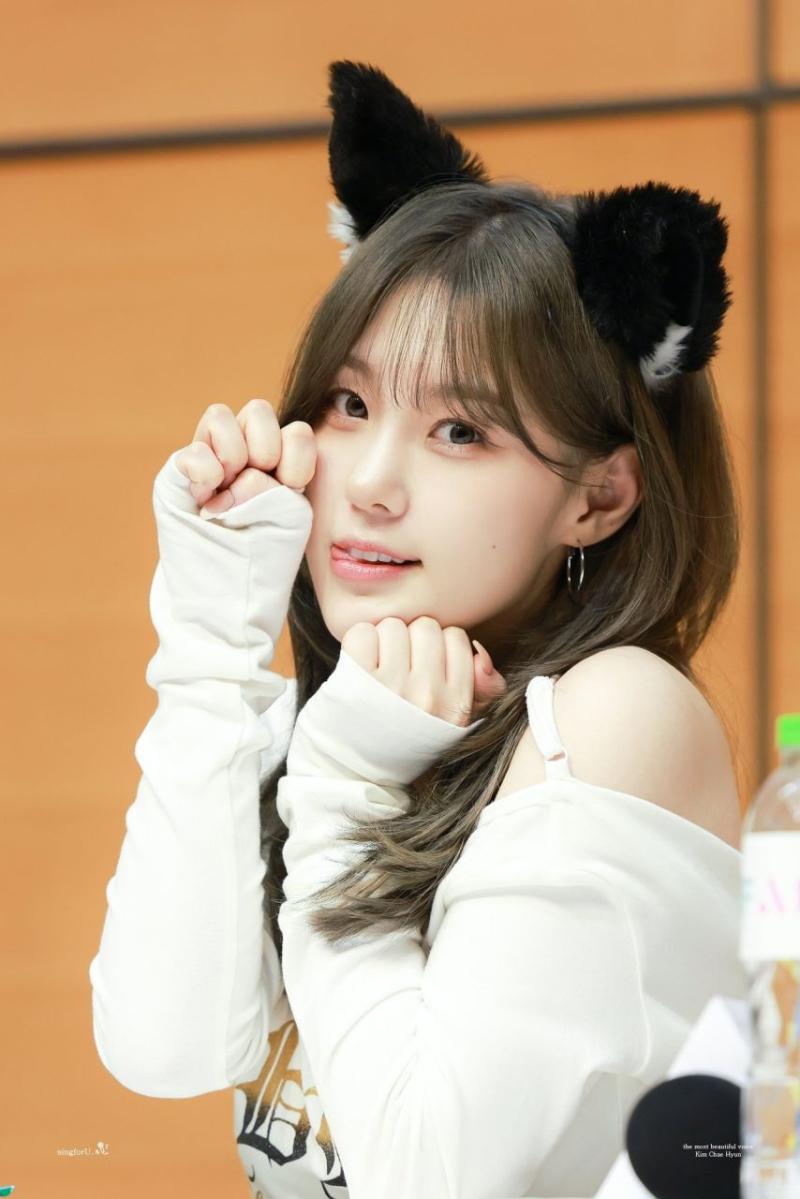 케플러 김채현