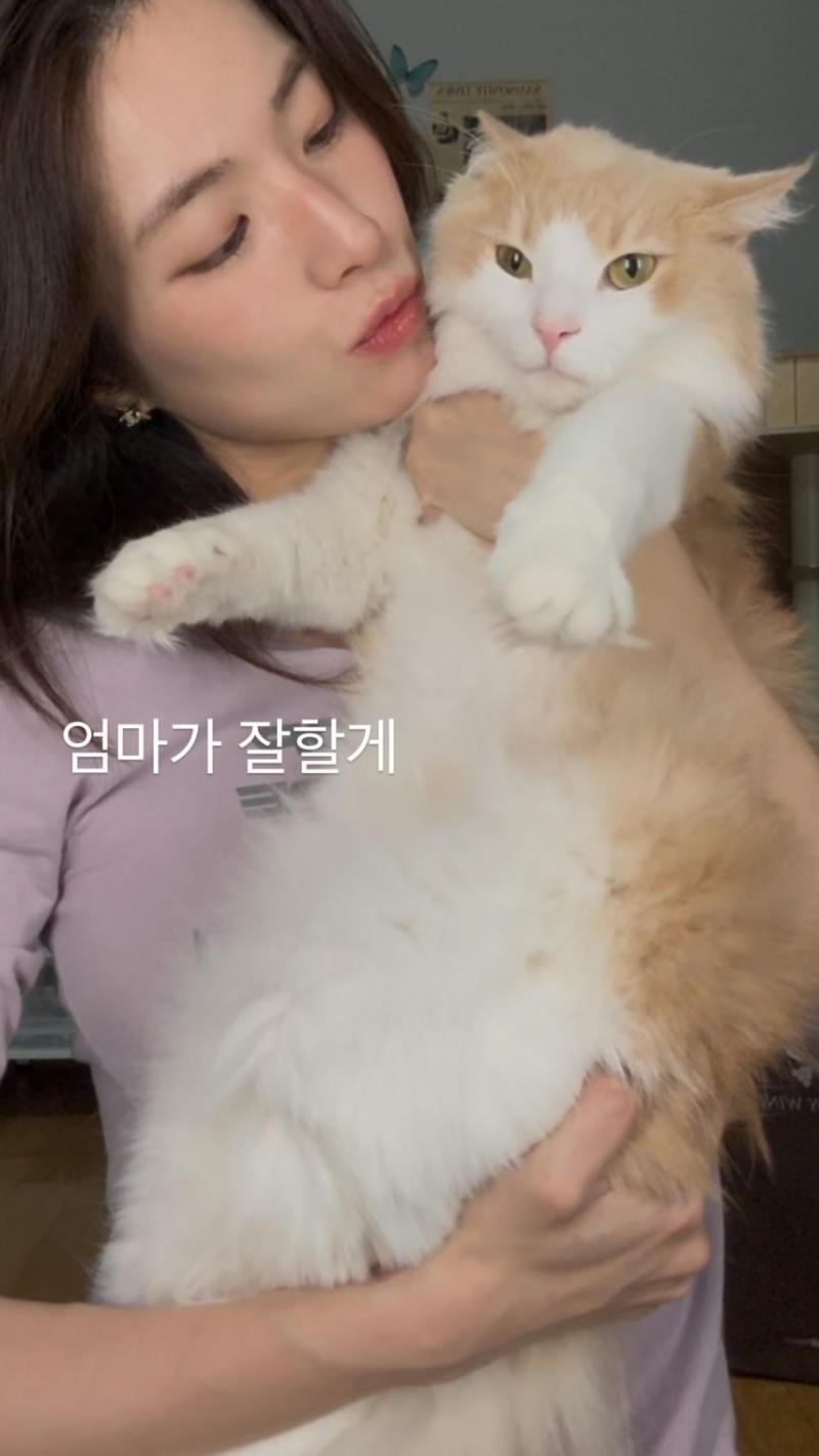 하영