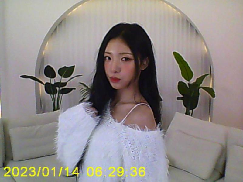 오드유스 카니
