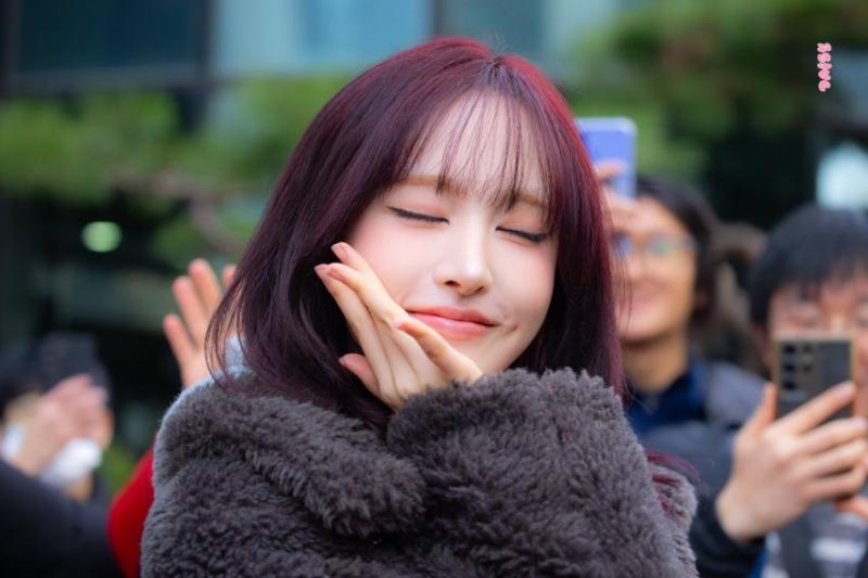 아이브 리즈
