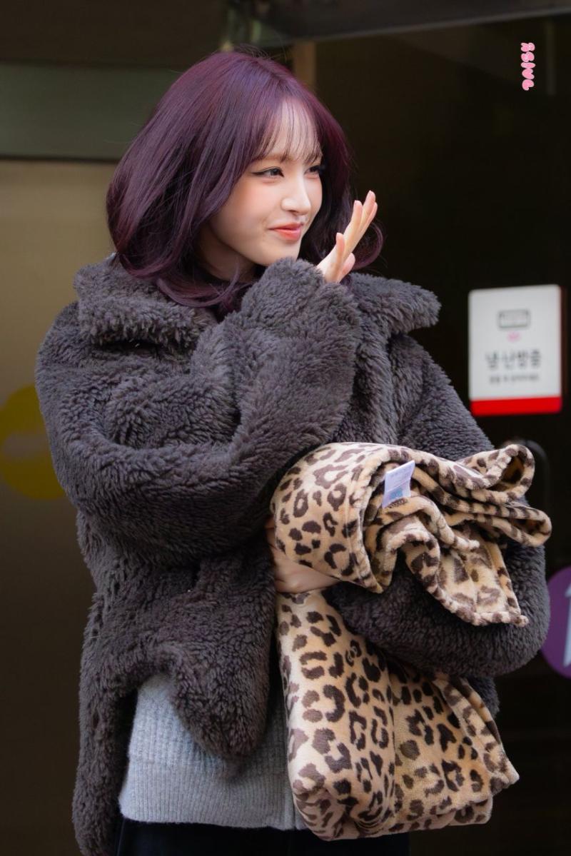 아이브 리즈