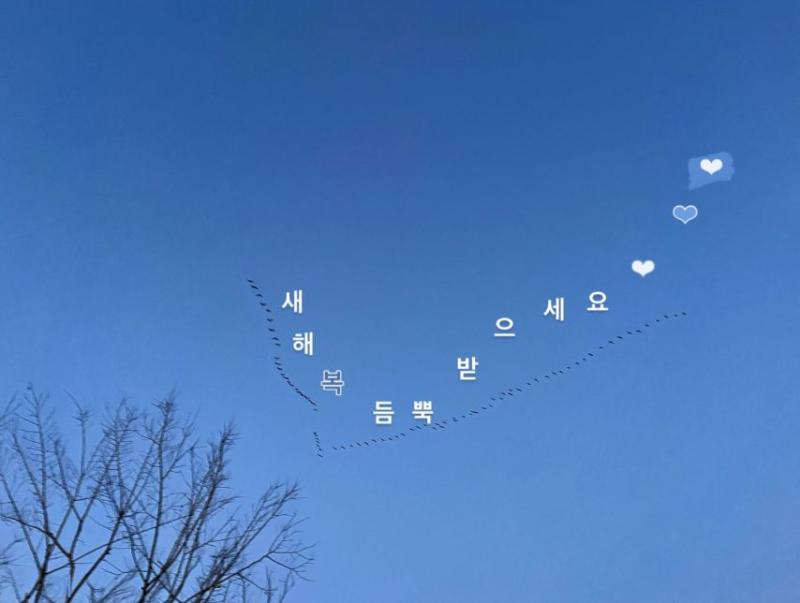 유승옥 인별