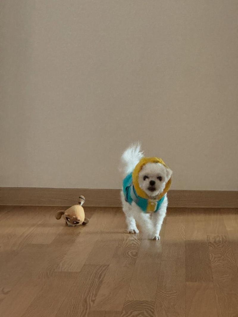 이새롬