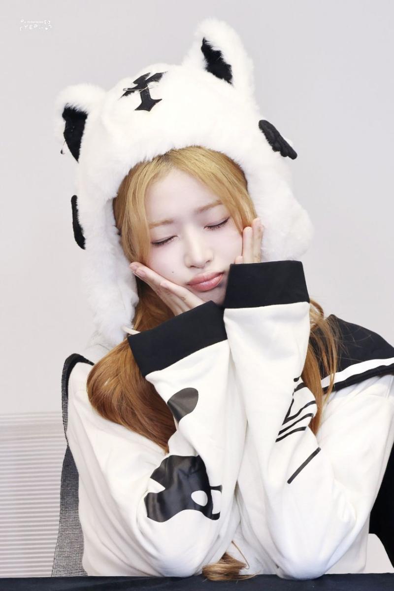아이브 레이