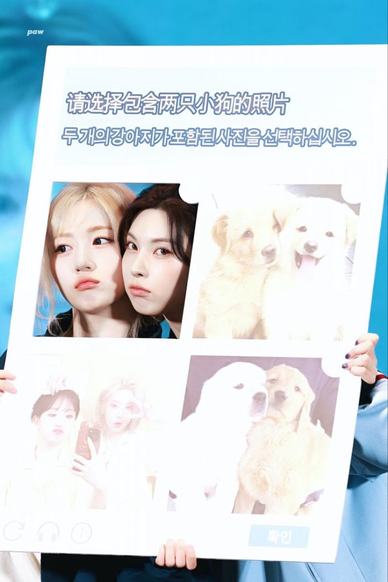 엔믹스 배이