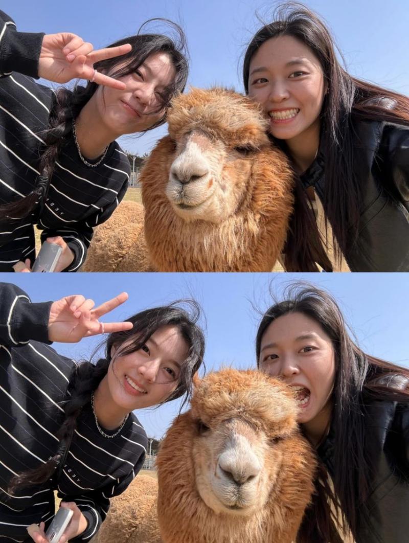 김설현