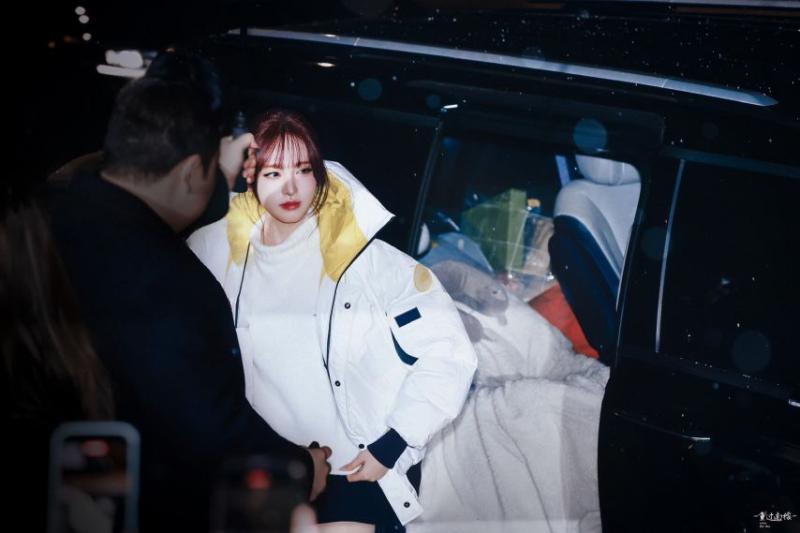 아이브 리즈