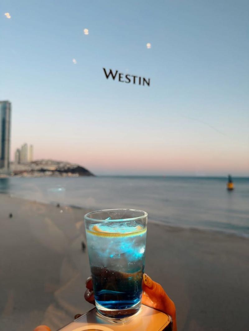 기은세