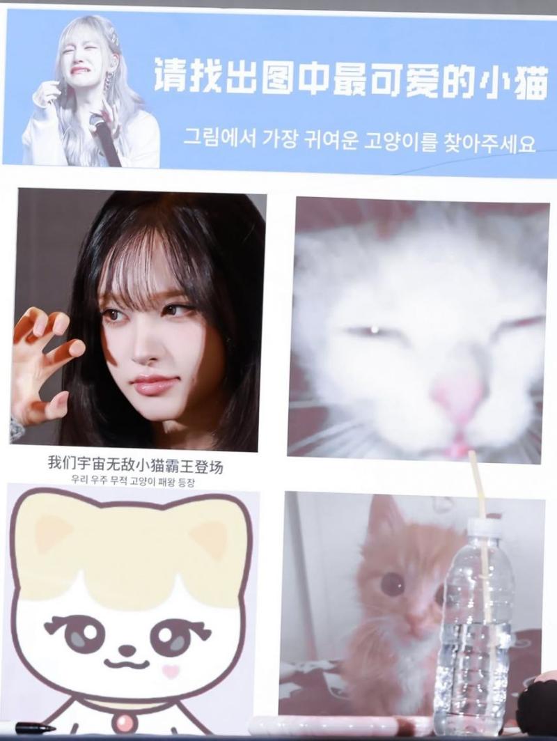 IVE (아이브) 리즈