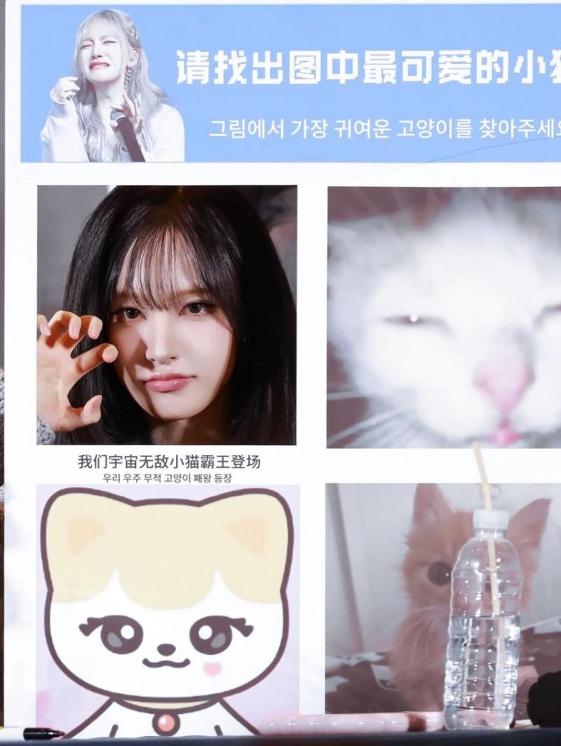 IVE (아이브) 리즈