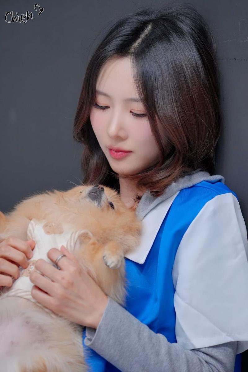 유아유 유현