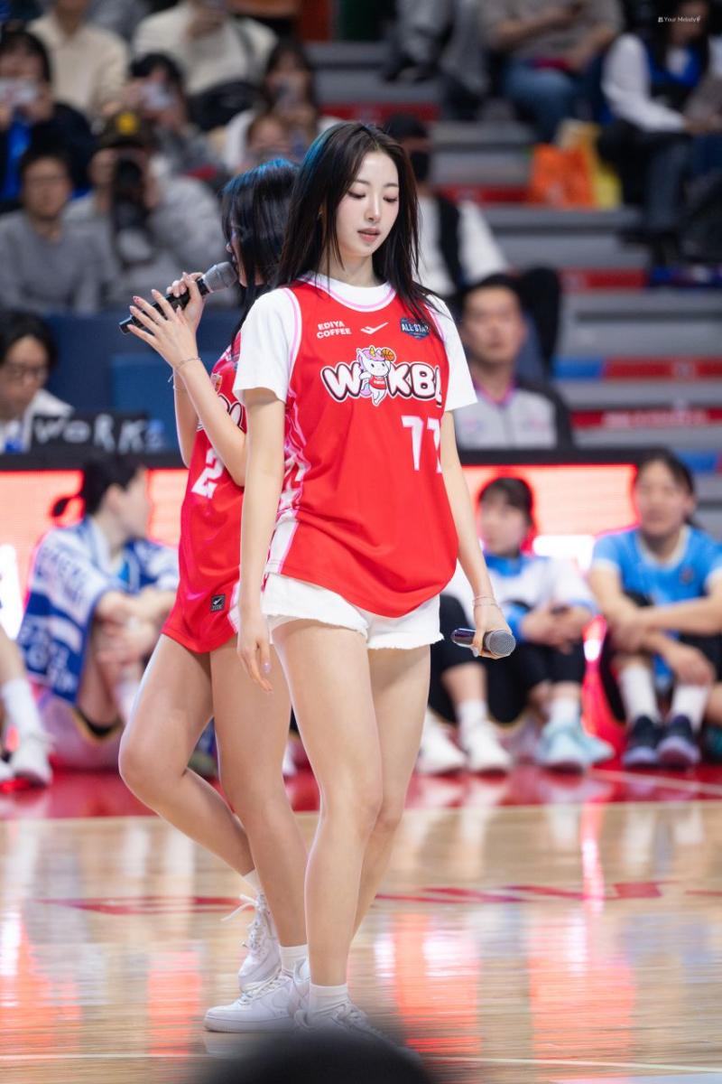 하이키