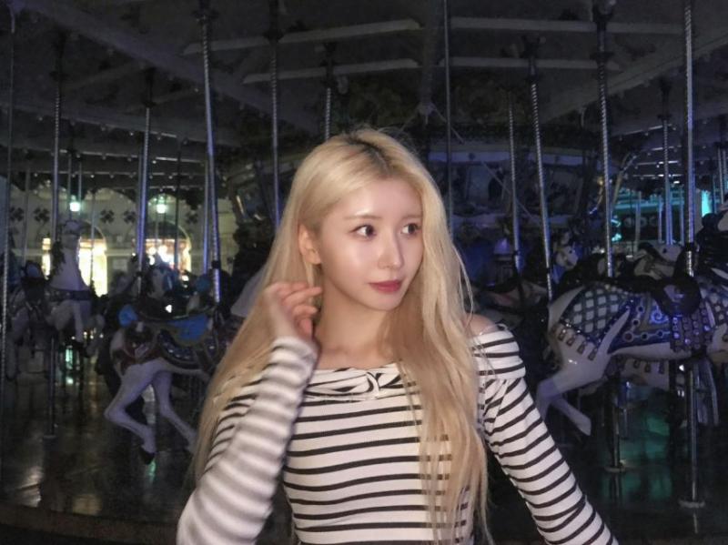 힛지스 서진