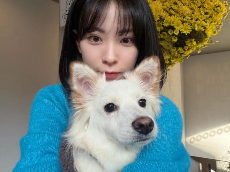 한지효