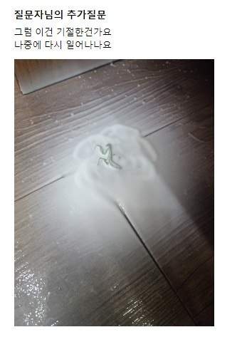 사마귀 에프킬라로 죽나요?