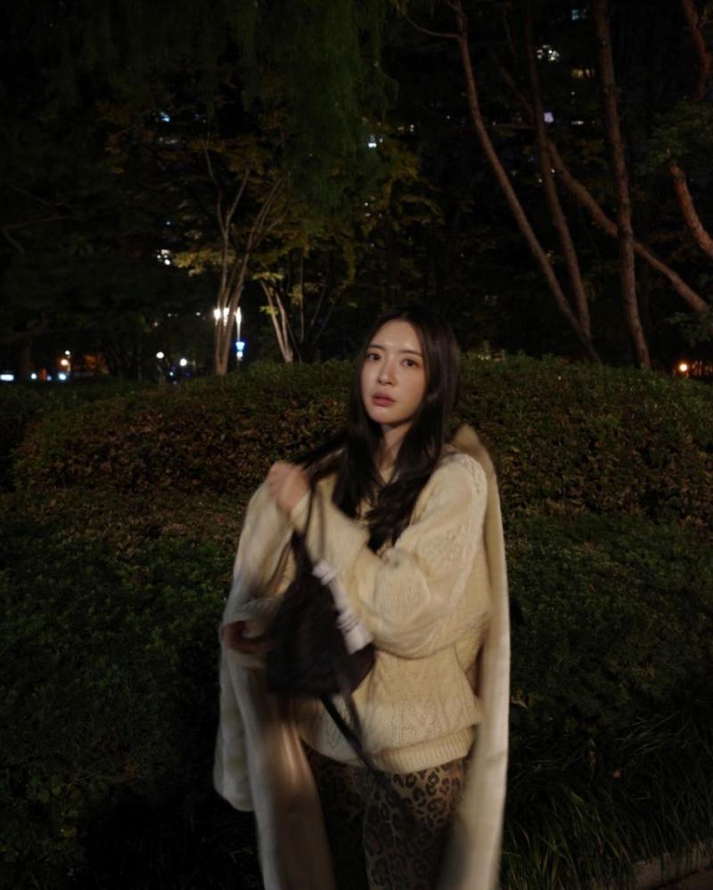 달샤벳 아영