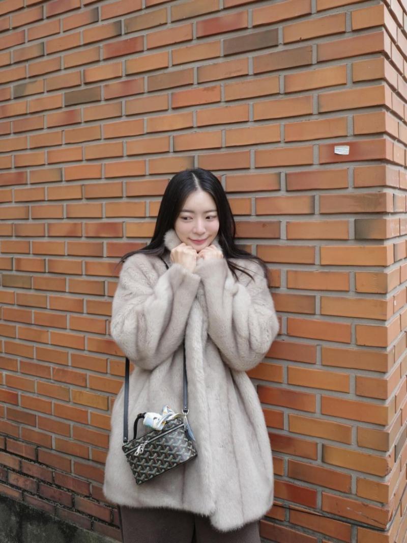 달샤벳 아영